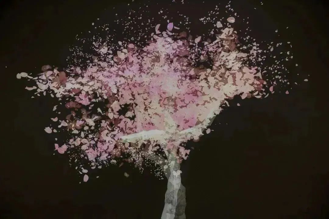 64a12700e6acc2c3ca892339ad49311